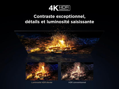 TCL 55Q6C Qd-Mini LED TV, 4K HDR Premium 1000Nits, Smart TV Alimenté Par Google (Dolby Vision IQ Et Atmos, Système Audio Onkyo 2.1, Motion Clarity Pro 144Hz, Game Master, Contrôle Vocal Mains Libres)