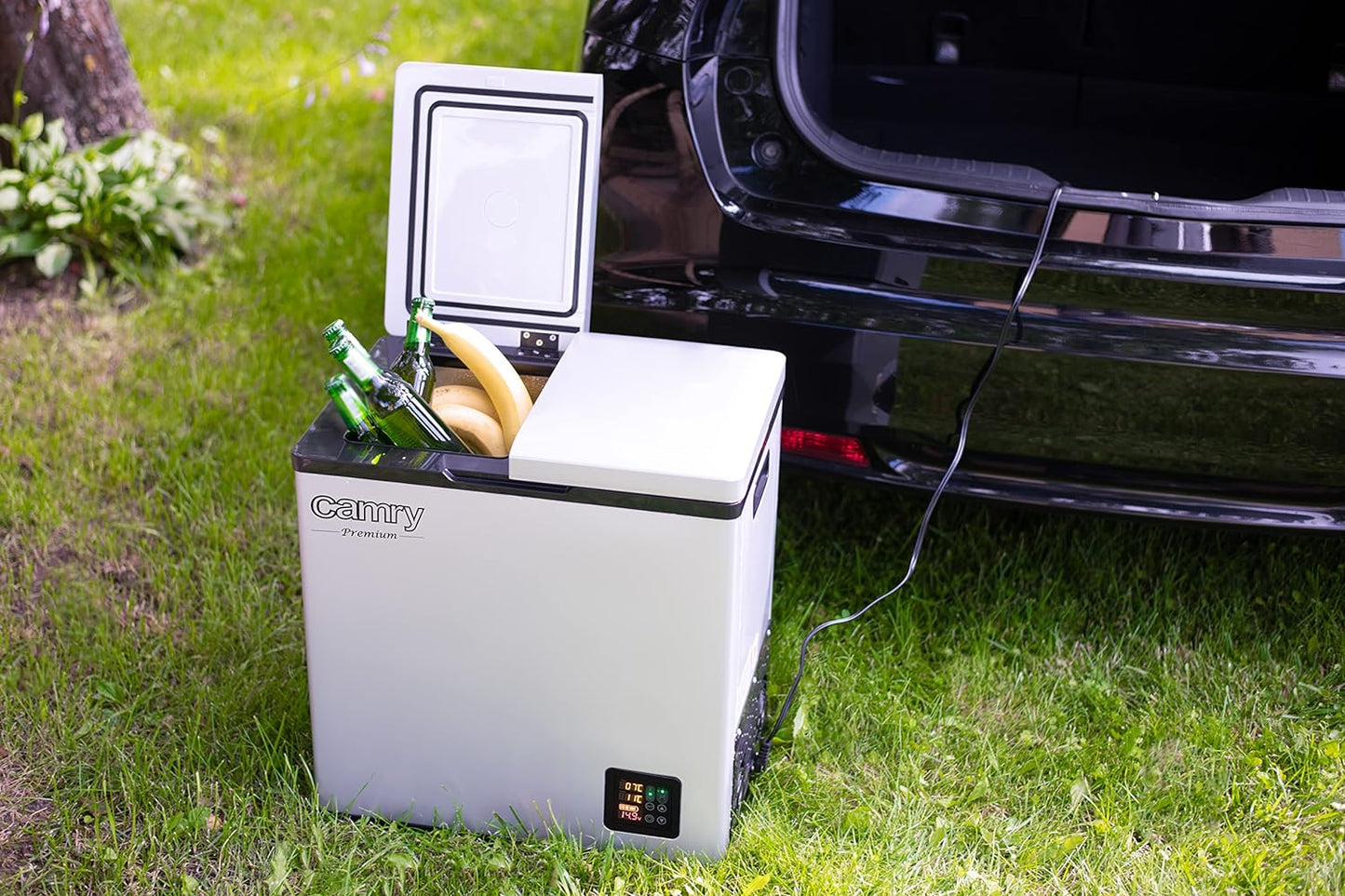 JUNG Camry CR8076 Mini Réfrigérateur/Congélateur Petit Format, 38 L, 2 Compartiments (Réfrigérateur Et Congélateur), Compresseur, Réfrigérateur, 2 Ports (12 V Et 230 V) Avec Écran LCD