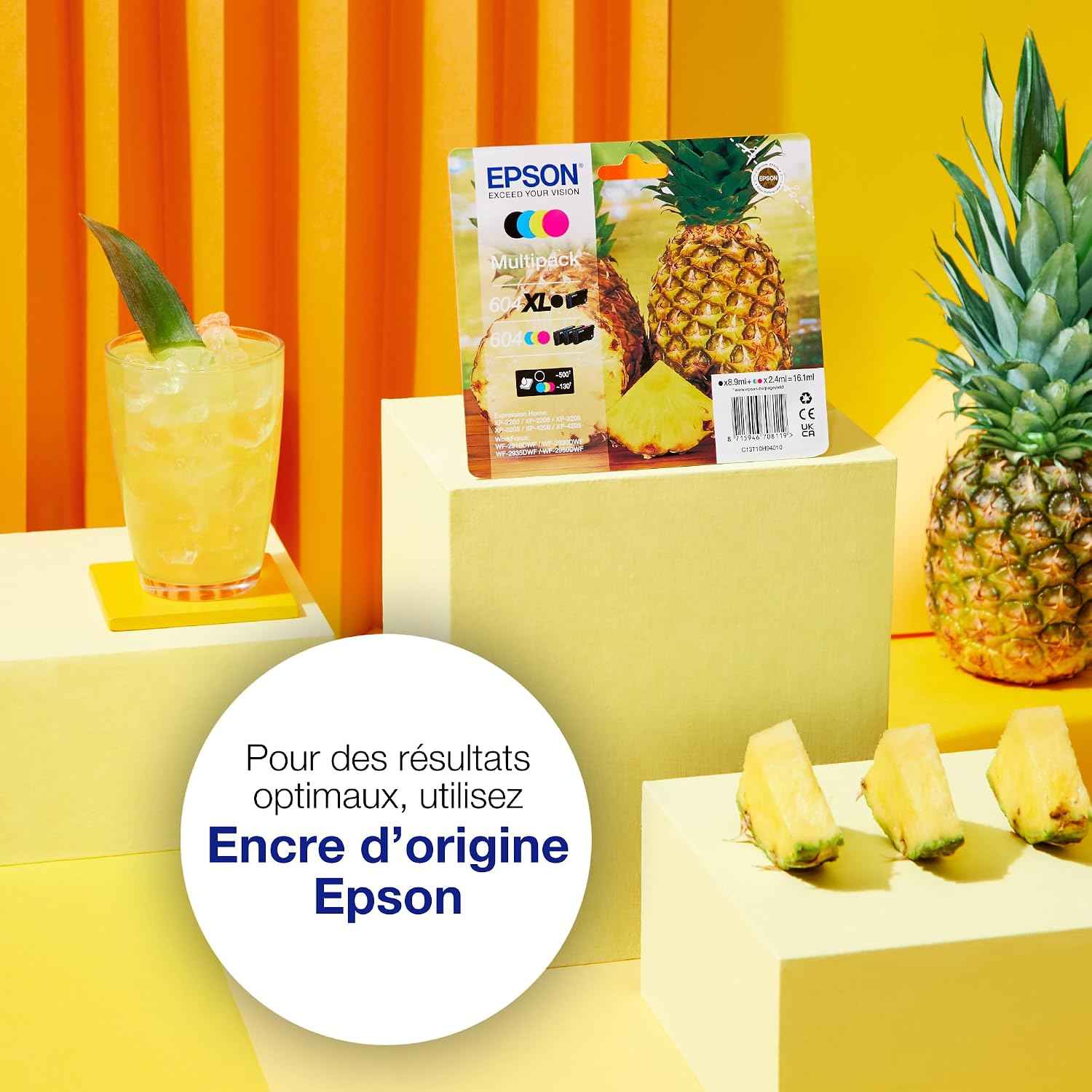 Epson Ink/604 Pineapple C13T10G64010 Multipack