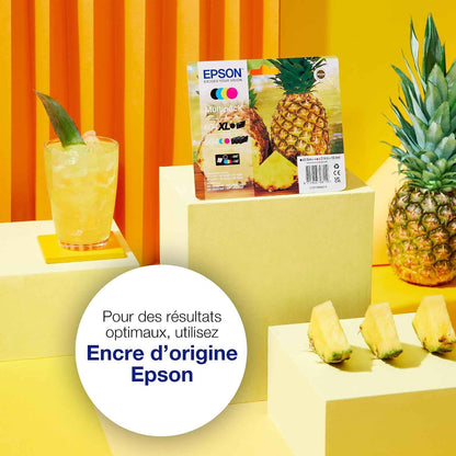 Epson Ink/604 Pineapple C13T10G64010 Multipack