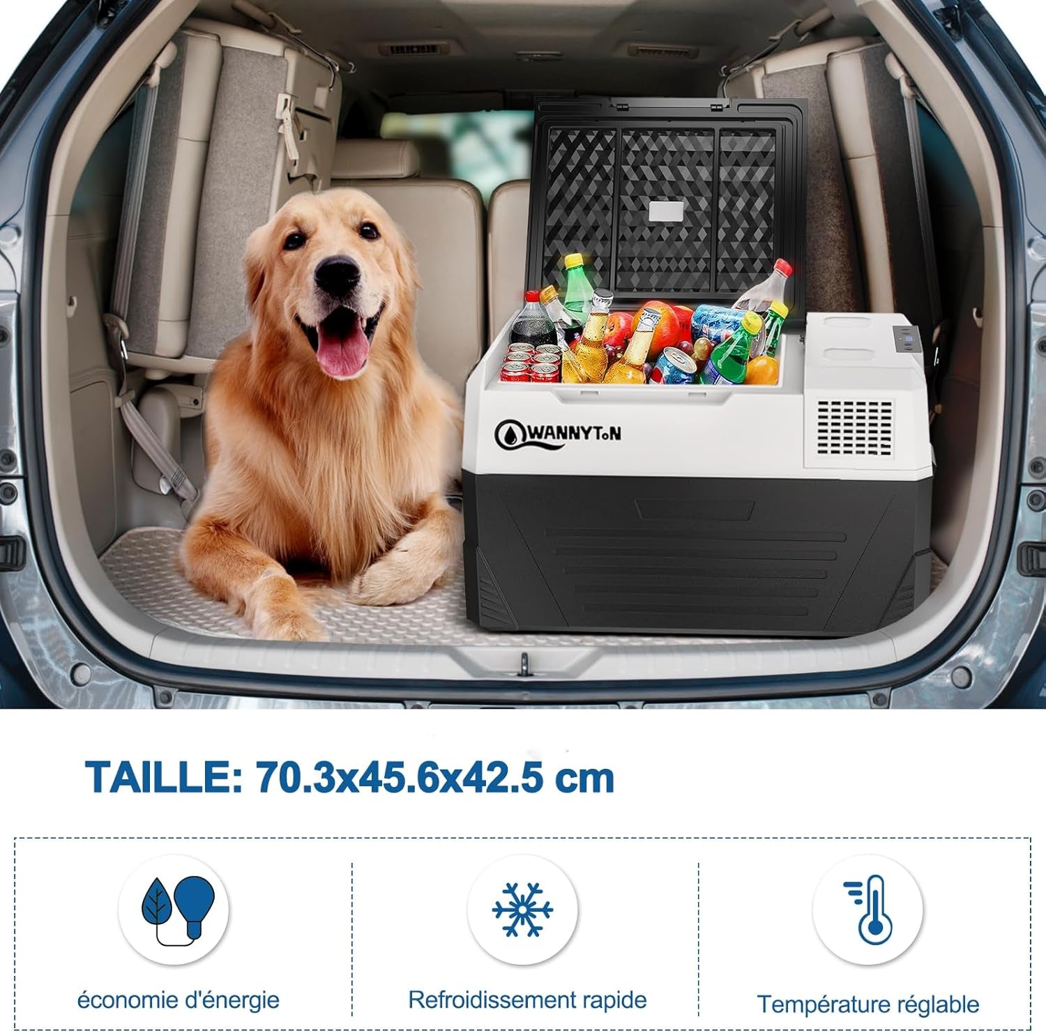 Glacière Électrique Voiture, 48 L, Mini Frigo, Glacière À Compression, 12/24/100-240 V, Réfrigérateur Portable Pour Voiture, Camion, Bateau, Camping-Car