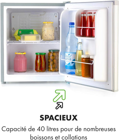Scooby Mini Réfrigérateur - Système Ecoexcellence, CEE E, Capacité De 40L, Régulateur De Température, Étagère Amovible, Compartiment Bouteille Jusqu'À 2L, 41 Db, Argent