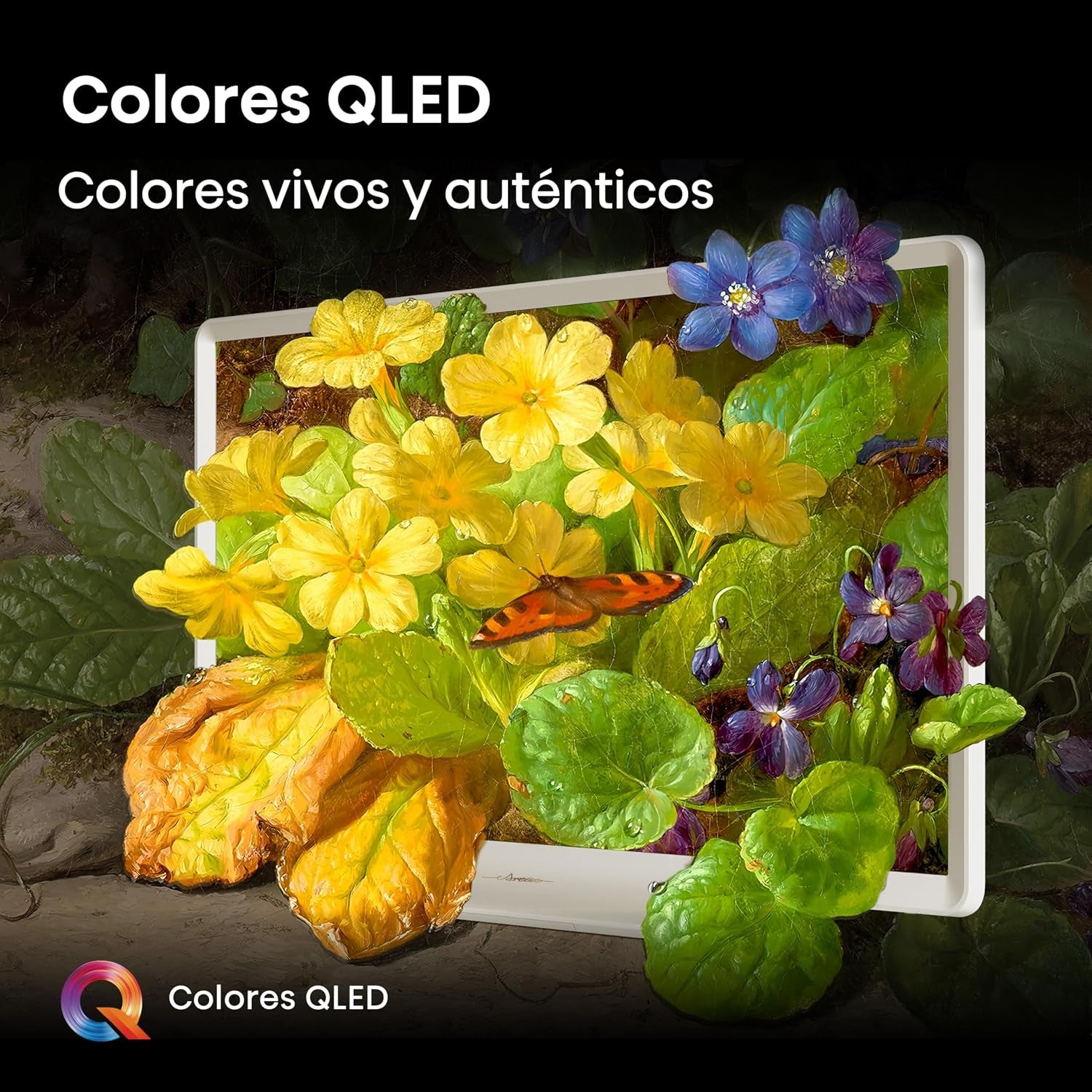 Hisense 32S5Q Smart TV QLED 32" (80 Cm) 2025 Full HD | Dolby Atmos | Pied Central | Finition Blanc Morandi | VIDAA U9