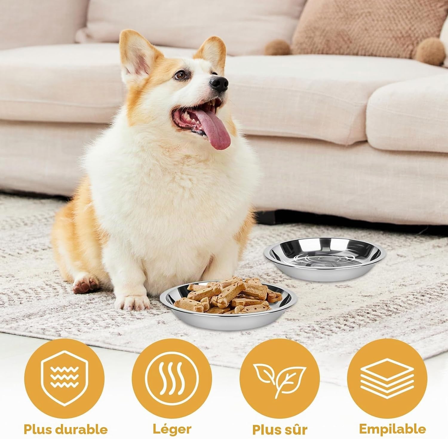 Lot De 6 Gamelles Pour Chat, Gamelle Plate En Acier Inoxydable | Bol Chat Plat anti Moustache, Assiette Chat Basse, Facile À Nettoyer, Pour Eau Et Nourriture, Idéal Chat Et Petit Chien