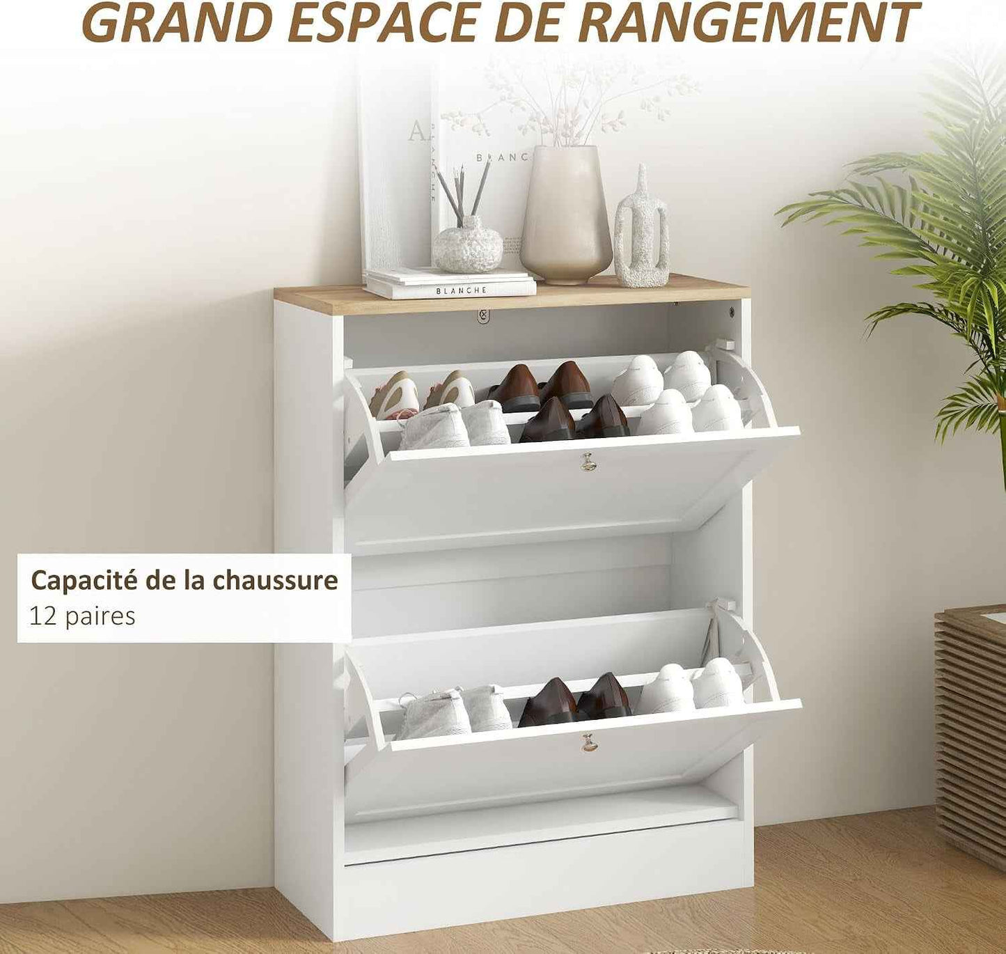 Meuble À Chaussures 2 Tiroirs 12 Paires 60 X 23,5 X 80 Cm Blanc | Armoire À Chaussures Étroite, Moderne, Étagères Réglables, Pour Couloir Et Entrée