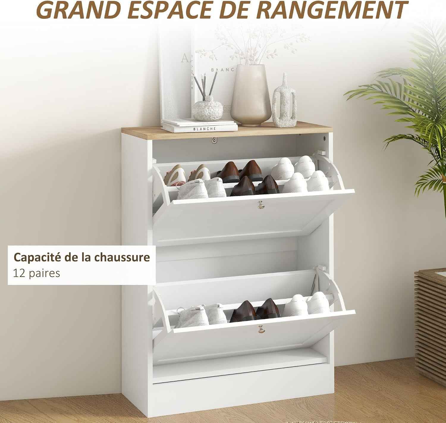 Meuble À Chaussures 2 Tiroirs 12 Paires 60 X 23,5 X 80 Cm Blanc | Armoire À Chaussures Étroite, Moderne, Étagères Réglables, Pour Couloir Et Entrée