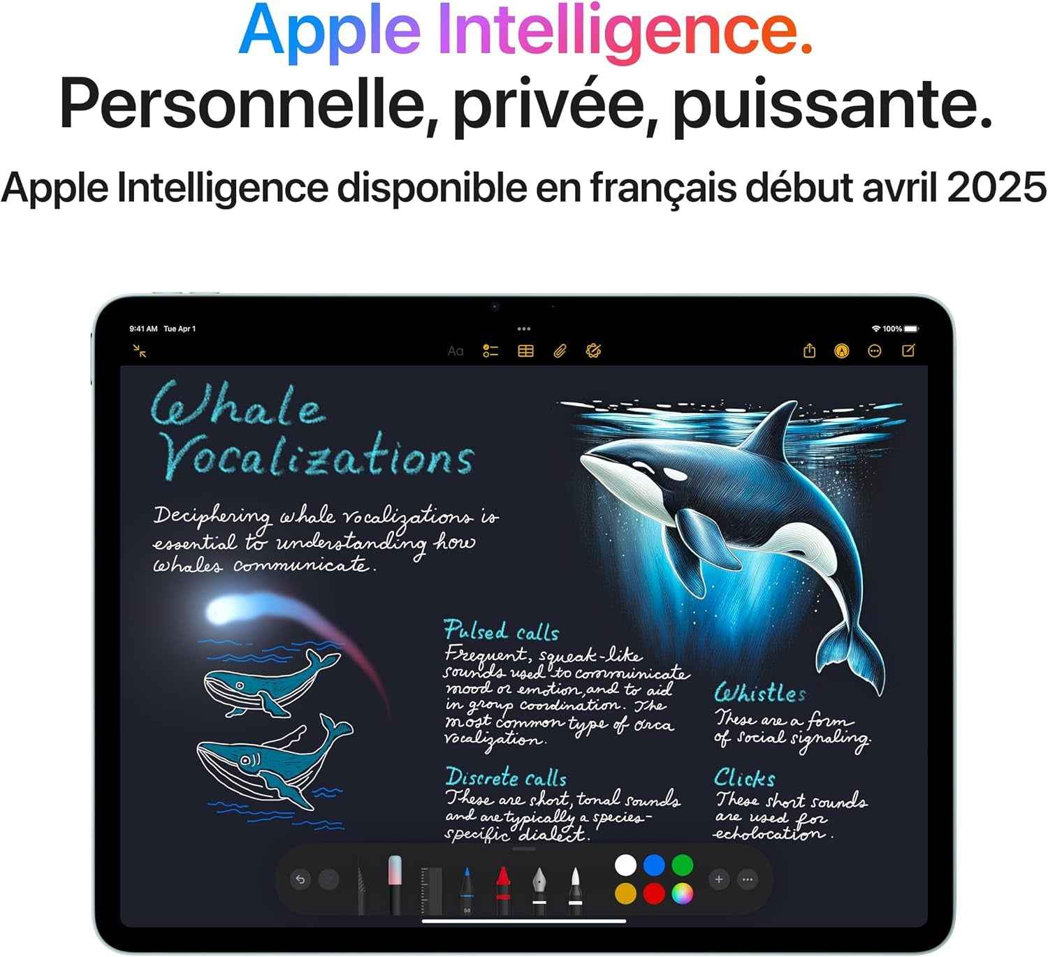 Ipad Air 11 Pouces Avec Puce M3 :  Intelligence, Écran Liquid Retina, 512 Go, Caméras Avant/Arrière 12 Mpx, Wi-Fi 6E Et Connectivité Cellulaire 5G, Touch ID, Autonomie D’Une Journée – Mauve