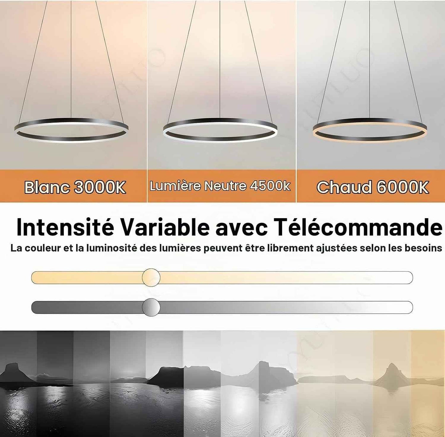 Lustre LED Moderne DIY Cercle | 1 Noire Anneaux :60Cm=29W| Éclairage Suspendu LED Métal+Acrylique Télécommande Intensité Variable 2,13G Lampe Suspendue Plafond Ronde Salon Chambre Coucher