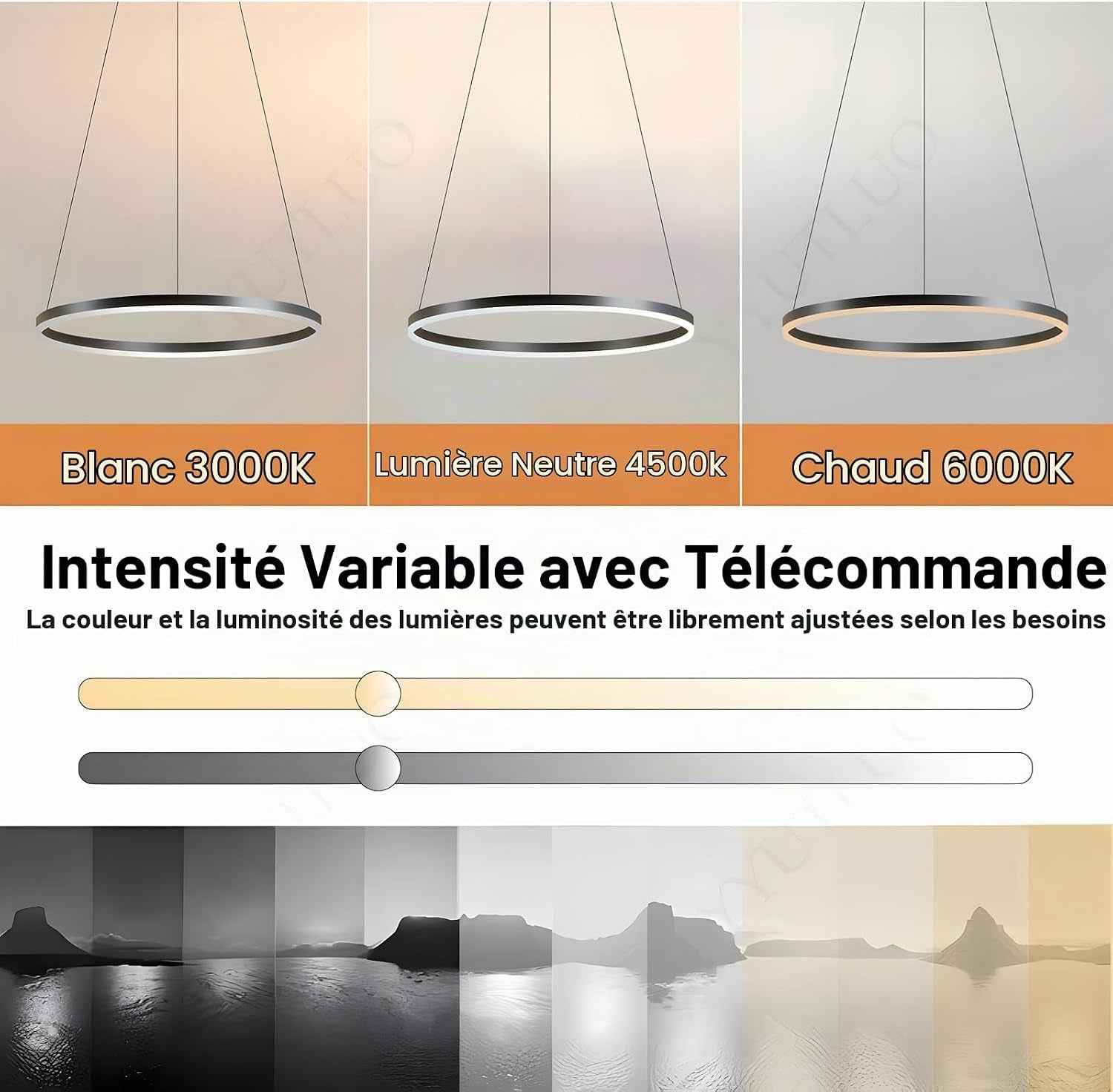 Lustre LED Moderne DIY Cercle | 1 Noire Anneaux :60Cm=29W| Éclairage Suspendu LED Métal+Acrylique Télécommande Intensité Variable 2,13G Lampe Suspendue Plafond Ronde Salon Chambre Coucher