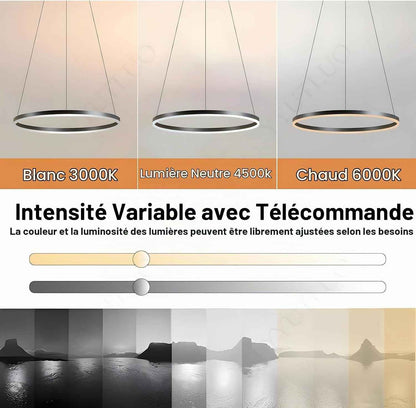Lustre LED Moderne DIY Cercle | 1 Noire Anneaux :60Cm=29W| Éclairage Suspendu LED Métal+Acrylique Télécommande Intensité Variable 2,13G Lampe Suspendue Plafond Ronde Salon Chambre Coucher
