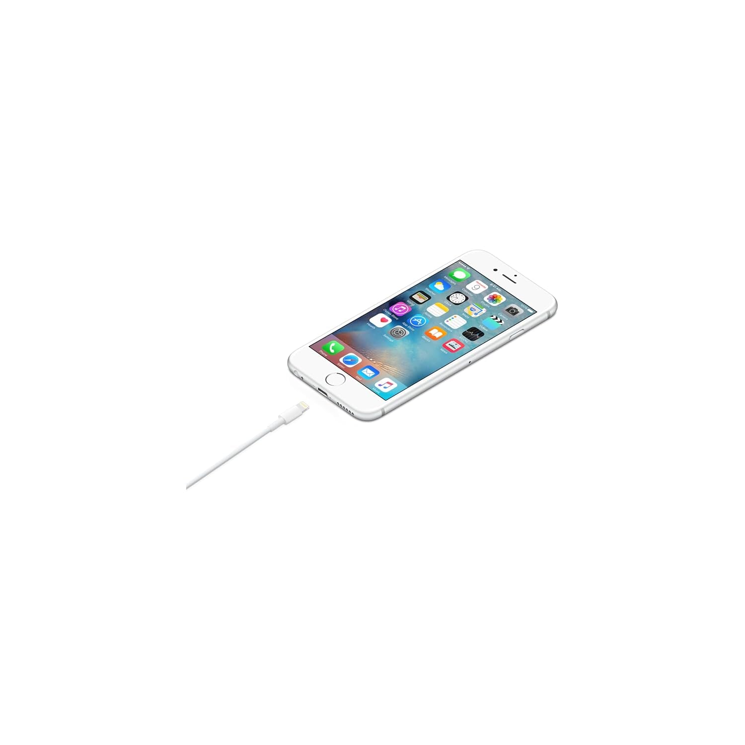 Câble Lightning Vers USB (1 M)