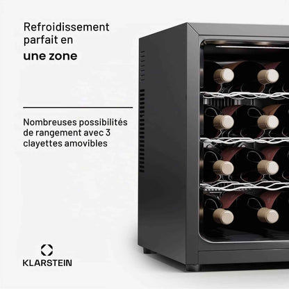 Cave À Vin Autonome 1 Zone, Petit Réfrigérateur À Boissons, Petite Cave À Vin, Petite À Avec Porte Vitrée, Réfrigérateur À Boissons Intérieur/Extérieur, À 12 Bouteilles