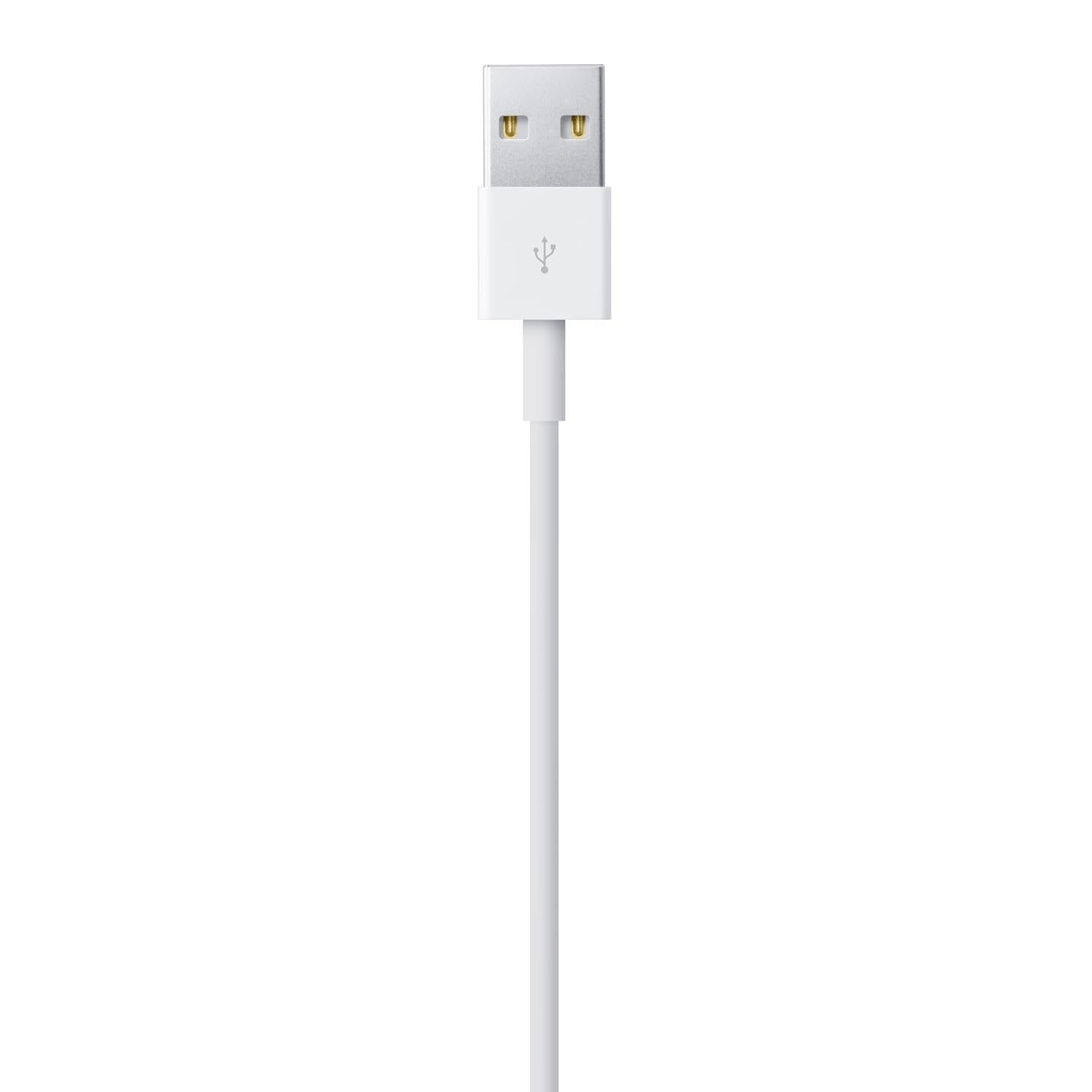 Câble Lightning Vers USB (1 M)