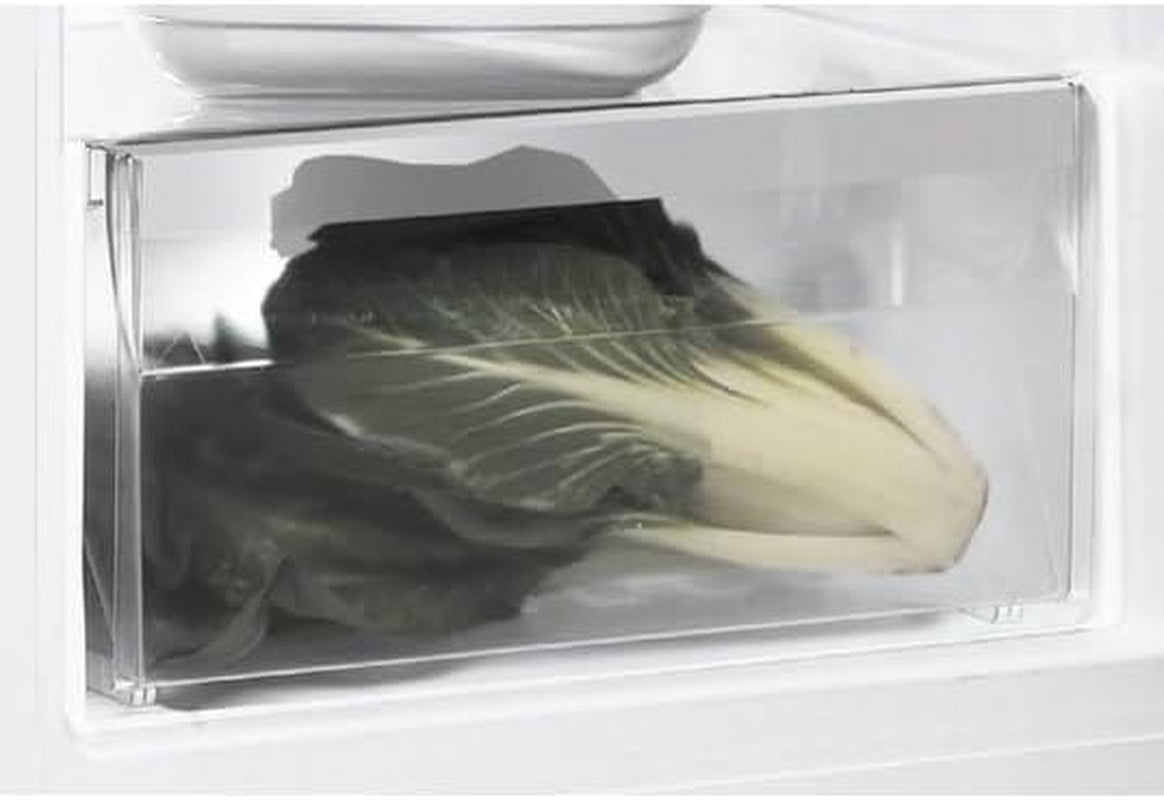 INDESIT Réfrigérateur 1 Porte SI62WFR