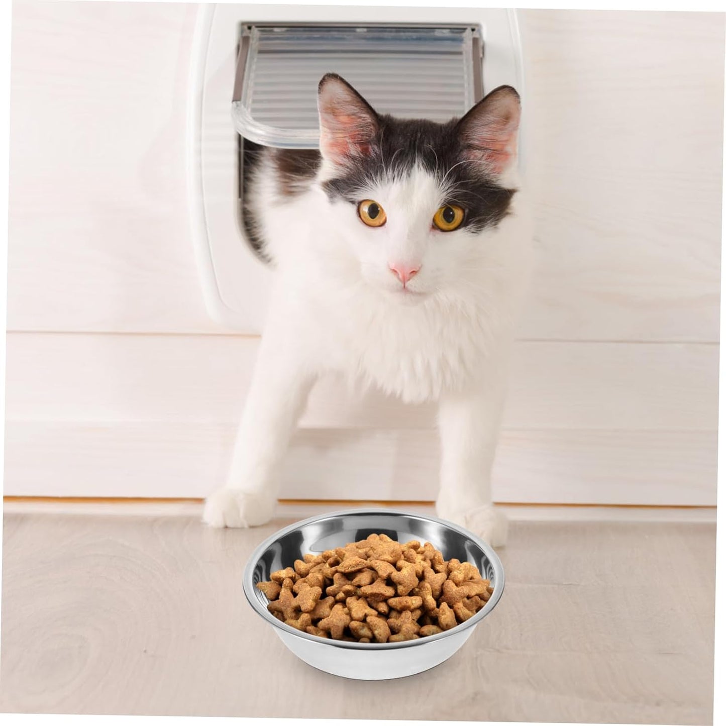 Lot De 5 Gamelles Pour Chat En Acier Inoxydable Bol De Nourriture Réutilisable Rond 5.51 in Récipient Alimentaire Pour Chaton Chiot Et Petit Animal Facile À Nettoyer