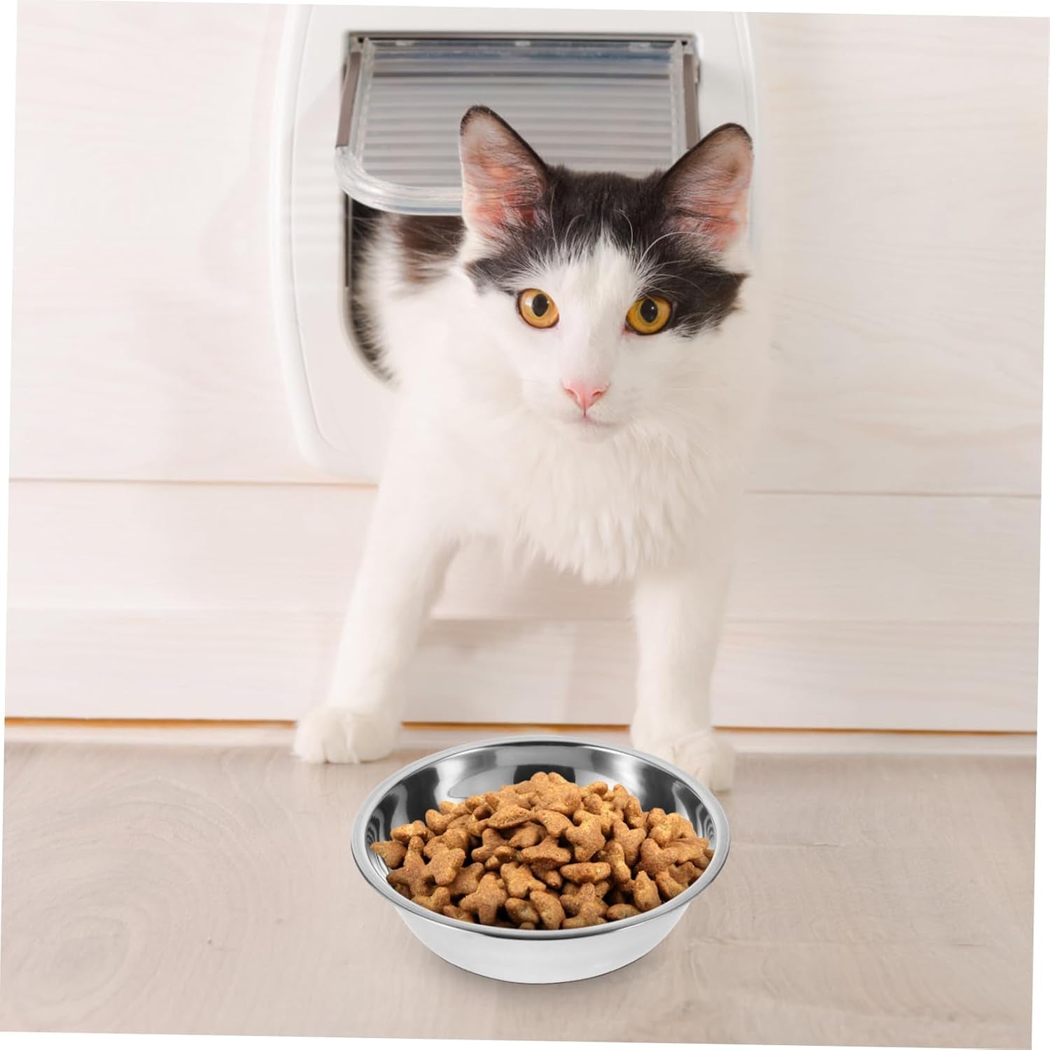 Lot De 5 Gamelles Pour Chat En Acier Inoxydable Bol De Nourriture Réutilisable Rond 5.51 in Récipient Alimentaire Pour Chaton Chiot Et Petit Animal Facile À Nettoyer