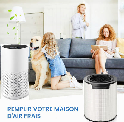 Filtre HEPA De Rechange FY1700 Compatible Avec Le Purificateur D'Air Philips Série 1000I Numéro De Modèle AC1715/70, AC1715/41, AC1715/30, Pièce FY1700/30
