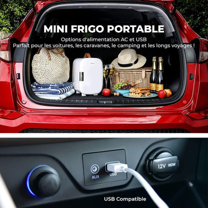 Subcold Pro4 Mini Frigo De Luxe | 4 Litres/6 Canettes | AC Et USB | Petit Réfrigérateur Portable Pour Le Bureau, La Chambre, La Voiture, Les Voyages, Les Soins De La Peau Et Les Cosmétiques (Blanc)