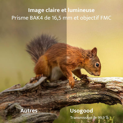 Jumelles Compactes HD 10 X 42 Pour Adultes, Prismes BAK4 | Objectifs FMC, Jumelles Étanches Pour L'Observation Des Oiseaux, De La Faune Avec Adaptateur Téléphonique