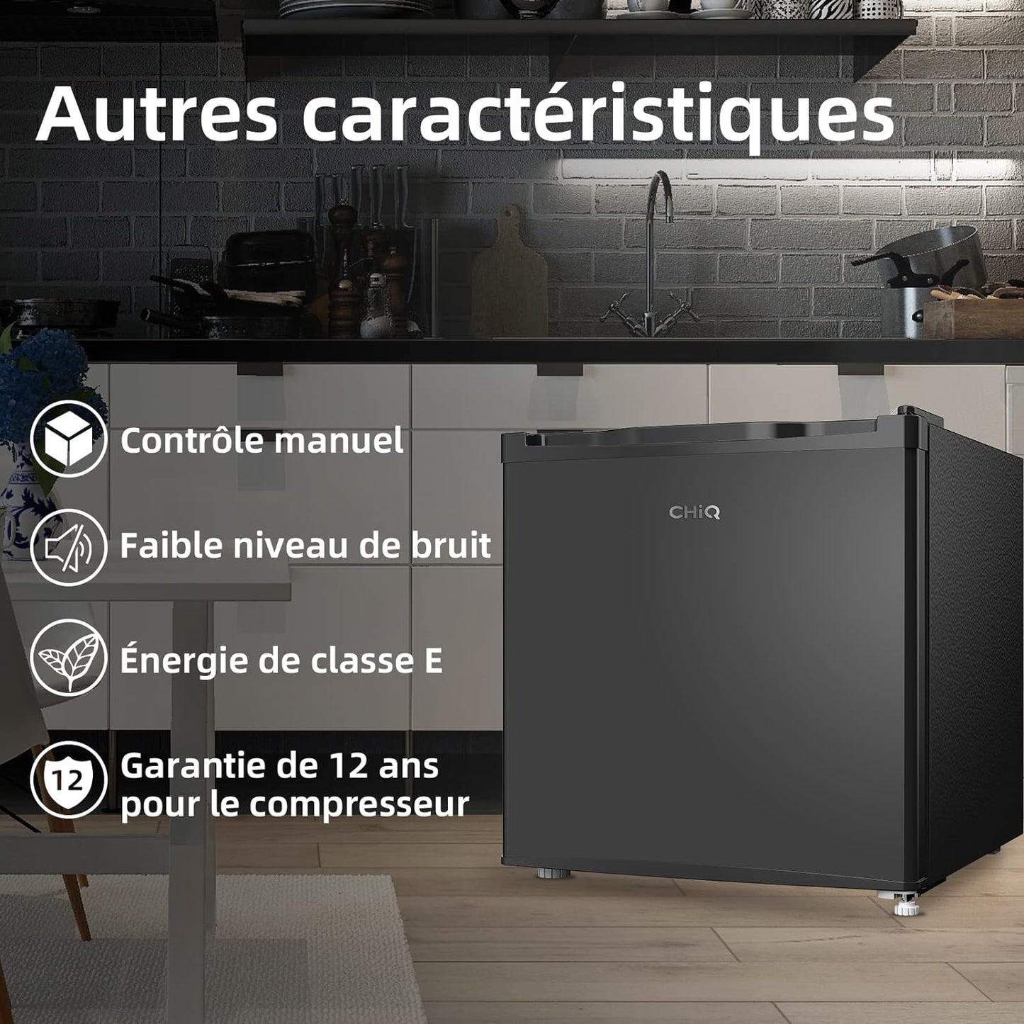 CSD31D4E, 2 En 1, Double Usage En Mode Mini Réfrigérateur Ou Congélateur 31L, Congélation 4 Étoiles, Silencieux, Porte Réversible, Thermostat Réglable