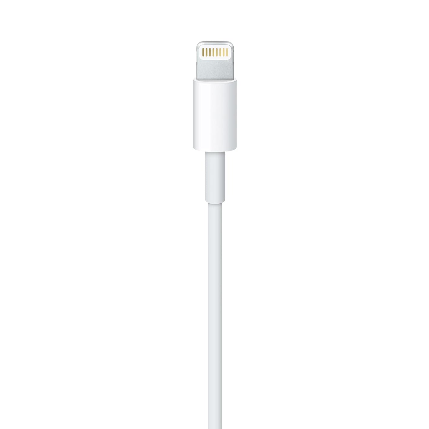 Câble Lightning Vers USB (1 M)