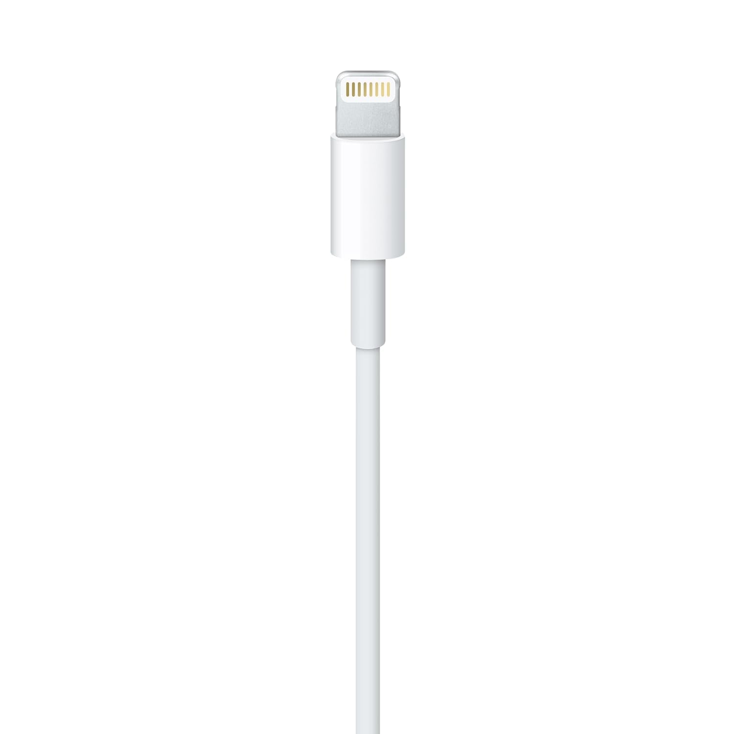Câble Lightning Vers USB (1 M)