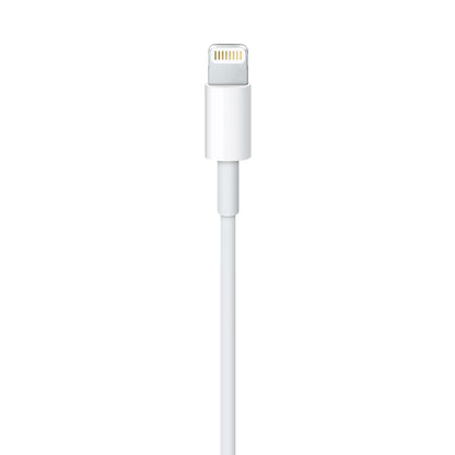 Câble Lightning Vers USB (1 M)