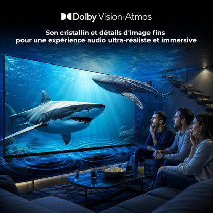 TV 55 Pouces 4K UHD Smart TV, Google TV Avec Cast Intégré, Dolby Vision Et Atmos, HDR 10, MEMC Pour Des Images plus Fluides