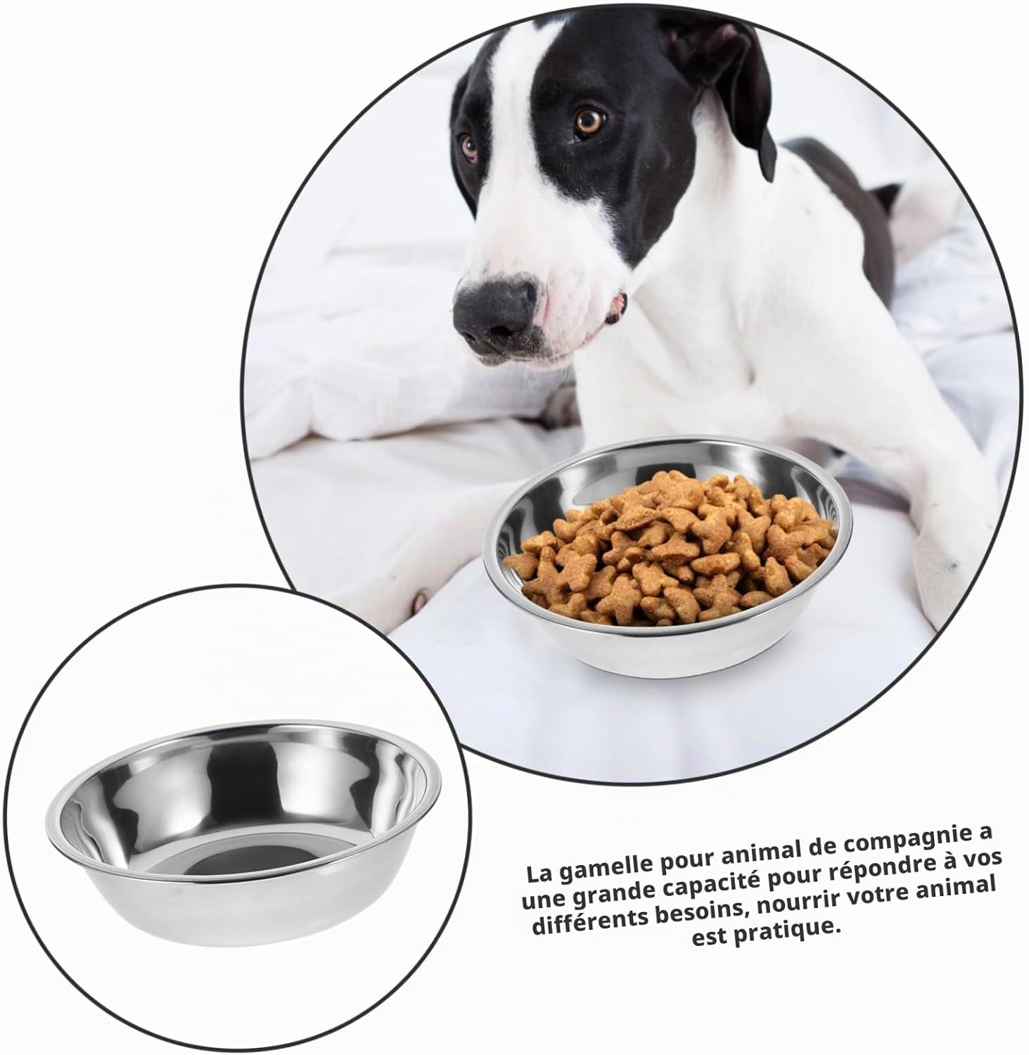 Lot De 5 Gamelles Pour Chat En Acier Inoxydable Bol De Nourriture Réutilisable Rond 5.51 in Récipient Alimentaire Pour Chaton Chiot Et Petit Animal Facile À Nettoyer
