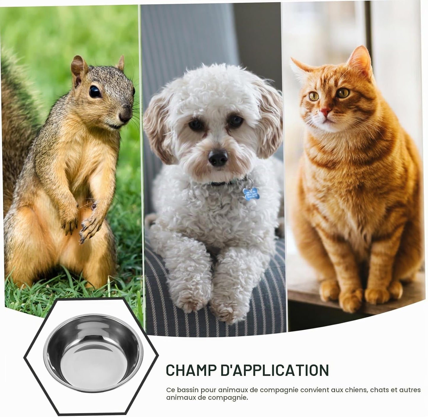 Lot De 5 Gamelles Pour Chat En Acier Inoxydable Bol De Nourriture Réutilisable Rond 5.51 in Récipient Alimentaire Pour Chaton Chiot Et Petit Animal Facile À Nettoyer