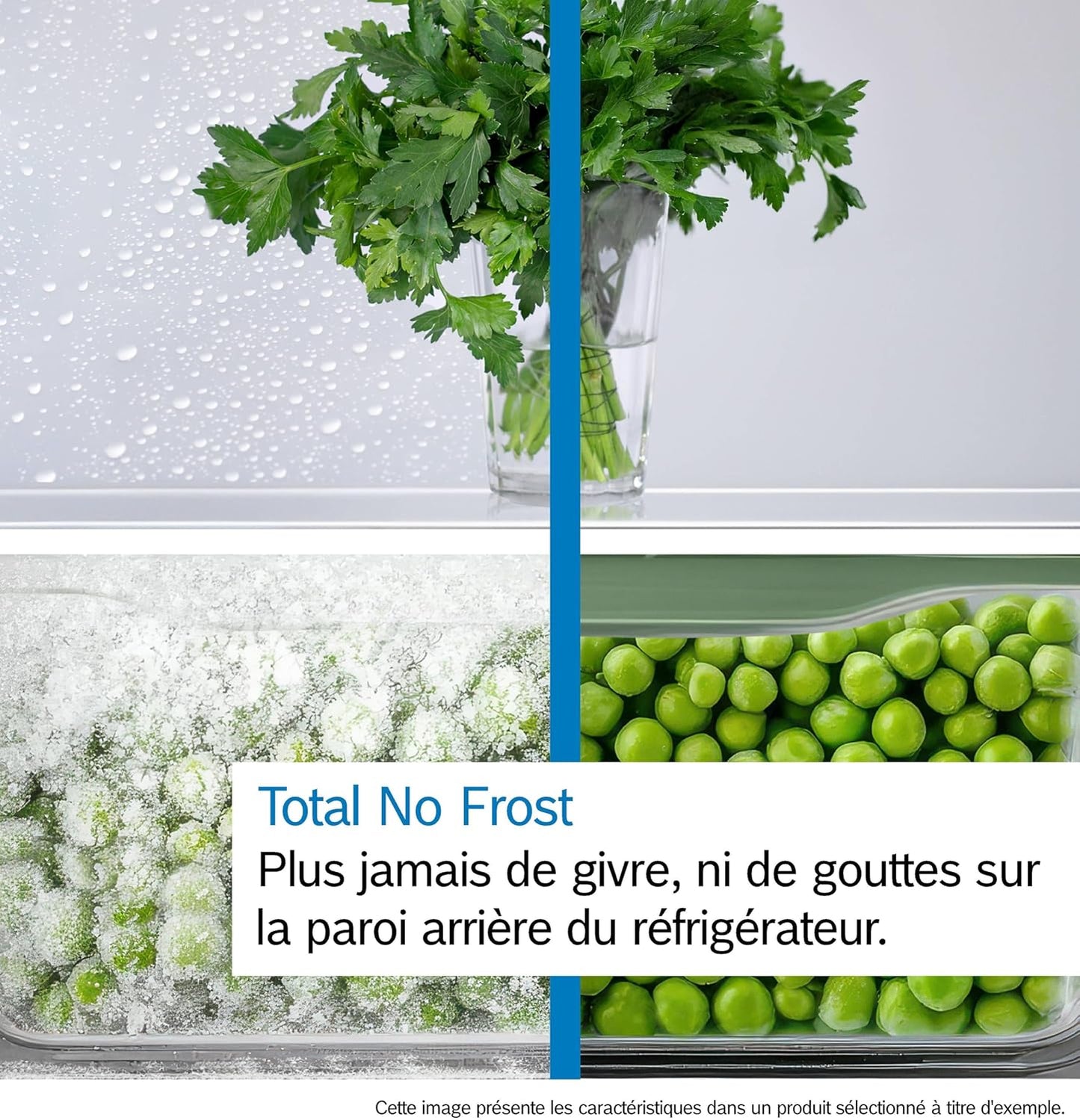Bosch KGN367LDF Série 4 - Réfrigérateur Combiné, Pose-Libre, Perfect Fit | 186 X 60 Cm, Inox, Nofrost, Vitafresh, Tiroirs Vitafresh XXL <0 °C>, 2 Systèmes De Refroidissement