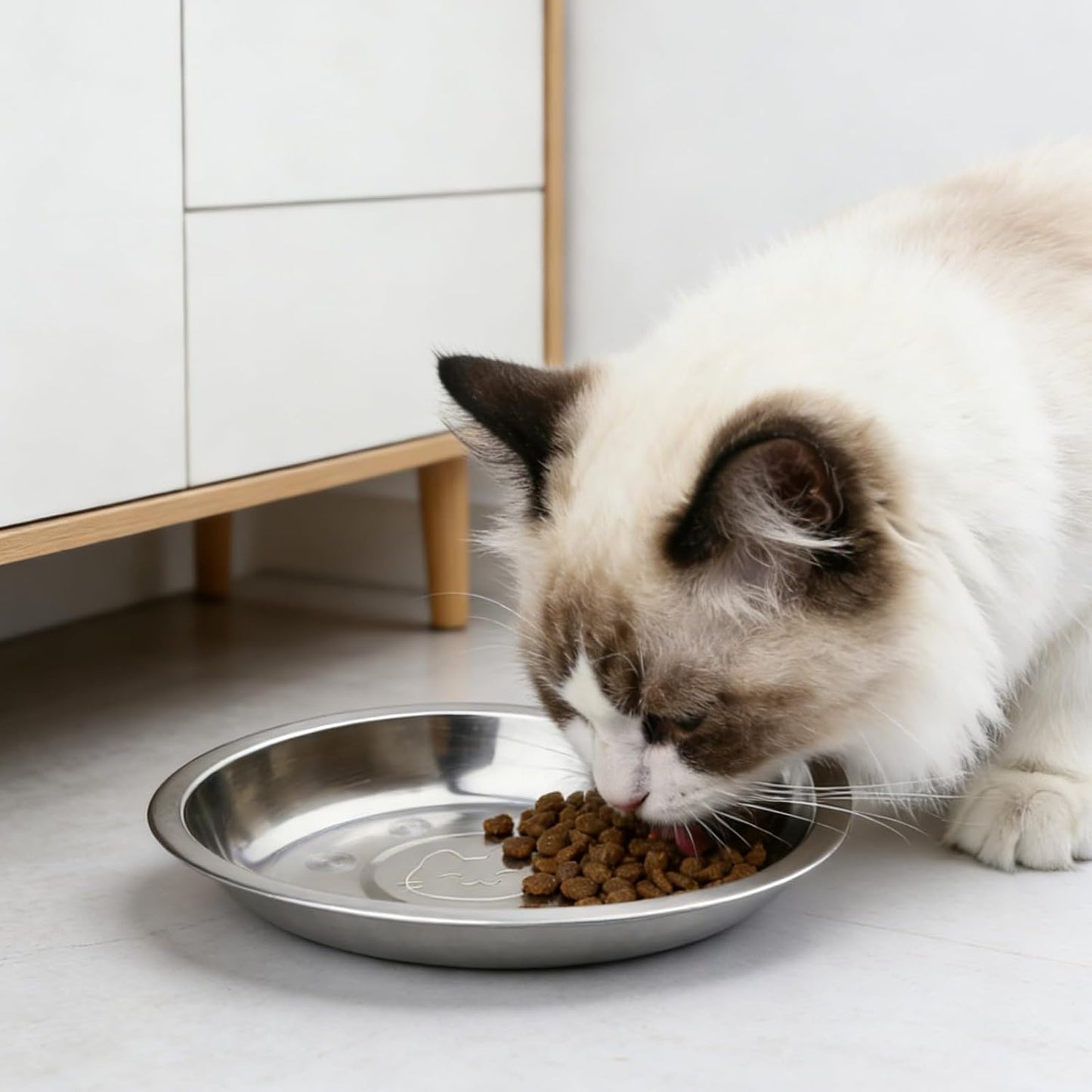 Lot De 15 Gamelles Pour Chat En Acier Inoxydable : 16 Cm Gamelle Pour Chat Plate En Acier Inoxydable 304, Gamelle Pour Chat, Gamelle Anti-Chute Pour Chat Anti-Chute Et Facile À Nettoyer, Facile À