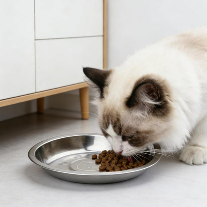 Lot De 15 Gamelles Pour Chat En Acier Inoxydable : 16 Cm Gamelle Pour Chat Plate En Acier Inoxydable 304, Gamelle Pour Chat, Gamelle Anti-Chute Pour Chat Anti-Chute Et Facile À Nettoyer, Facile À