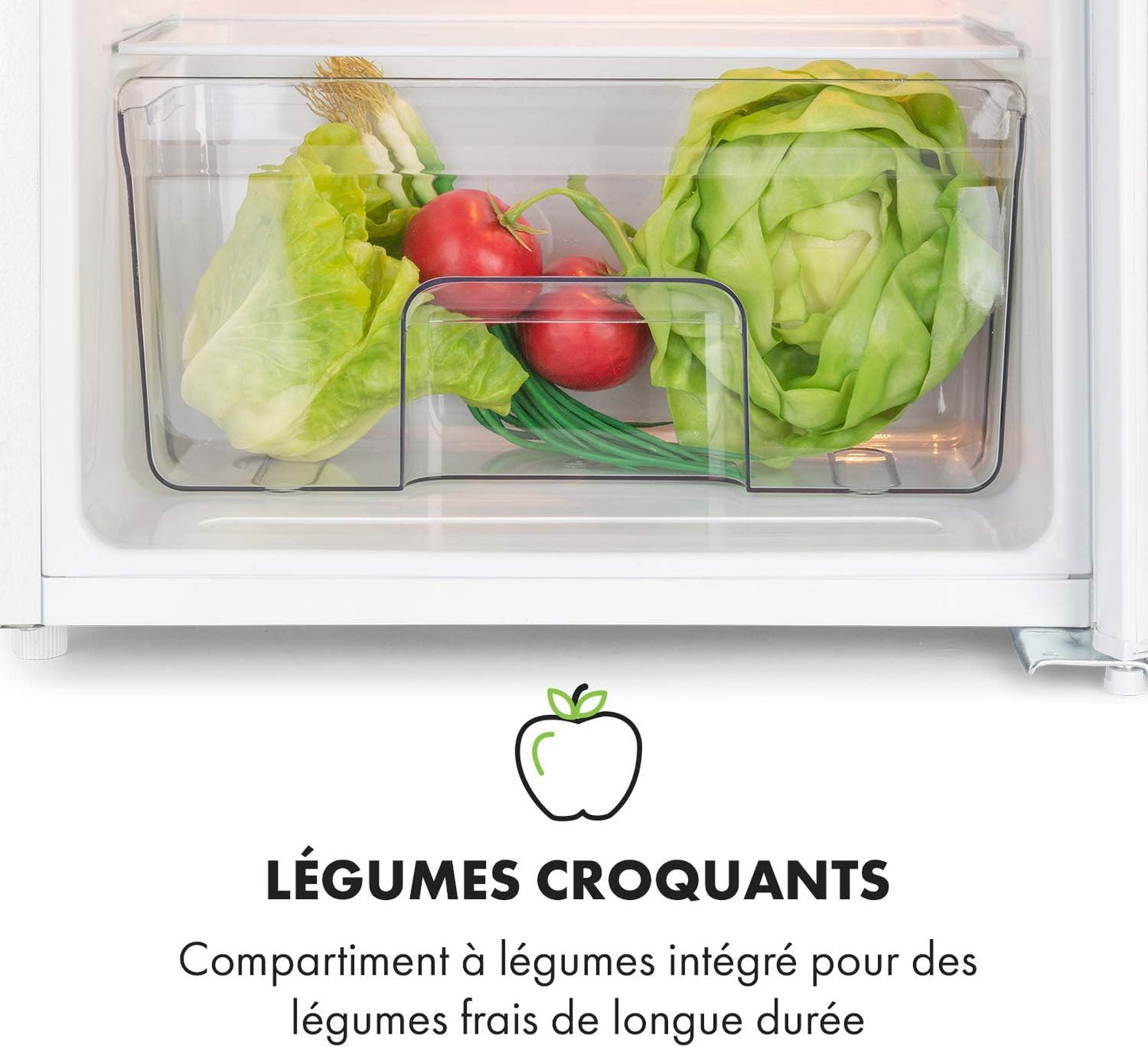 Spitzbergen - Réfrigérateur, Classe D'Efficacité Énergétique E, Compartiment Congélateur, Design Zestfulart : Porte Inscriptible Avec Marqueur, 2 Compartiments De Porte, Blanc, 90 L