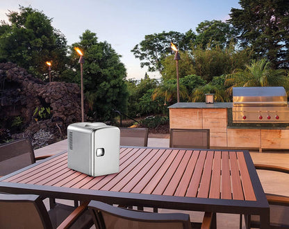 Rosenstein & Söhne Mini Réfrigérateur 2 En 1 Avec Prise 12/230 V - Gris