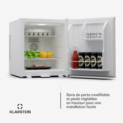 Mini Frigo Et Congelateur De Chambre De 44L, Snacks, Boissons, Petit Frigo Top Silencieux, Mini Bar, Petit Réfrigérateur Camping, Mini Frigo Cosmetique, Refrigerateur Avec Étagères Réglables