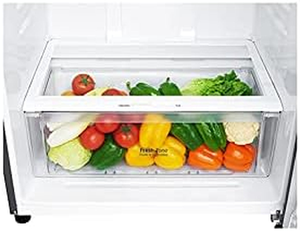 GTF744PZPZD Réfrigérateur-Congélateur Autonome Acier Inoxydable 509 L A++ - Réfrigérateurs-Congélateurs (509 L, T, 5,5 Kg/24H, A++, Nouvelle Zone Compartiment, Acier Inoxydable)