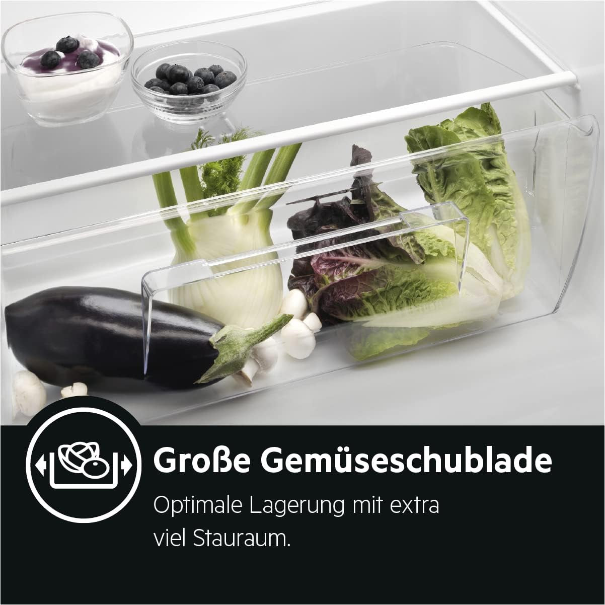 RKB333E2DW Réfrigérateur Pose Libre / 1550 Mm / 309 L/E