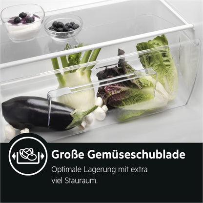 RKB333E2DW Réfrigérateur Pose Libre / 1550 Mm / 309 L/E