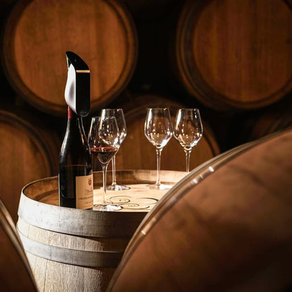 Aérateur De Vin Instantané Électrique  - Décanteur De Vin Avec Aération Précise Pour Sublimer Vos Cépages - Technologie Innovante Pour Une Dégustation Parfaite - Compatible Toutes Bouteilles