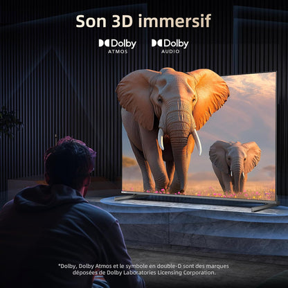 TV Mini QLED 4K 65 Pouces Local Dimming (M65QA9) | Gaming DLG 120Hz, MEMC 60Hz, Support HDR10, Chromecast Intégré
