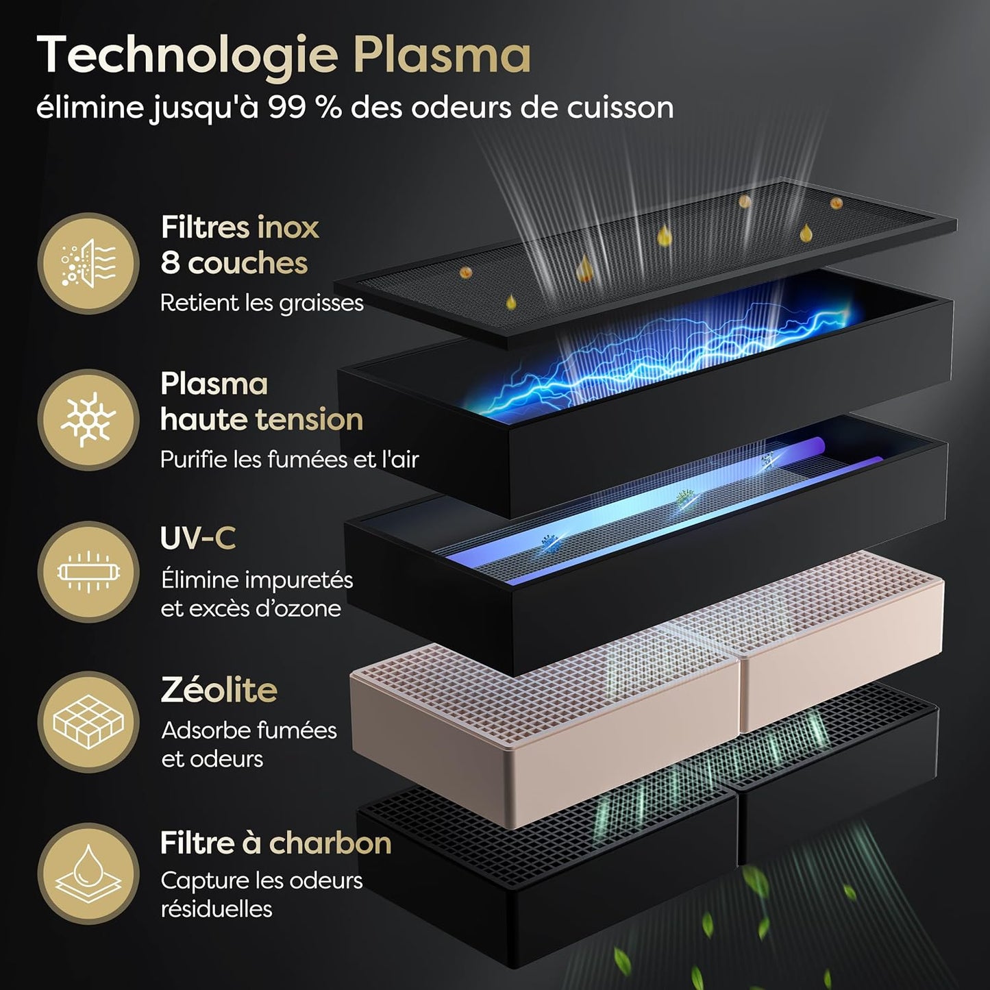 Plaque Induction Avec Hotte Intégrée 2 Feux Flexzone, Plasma Anti-Odeurs