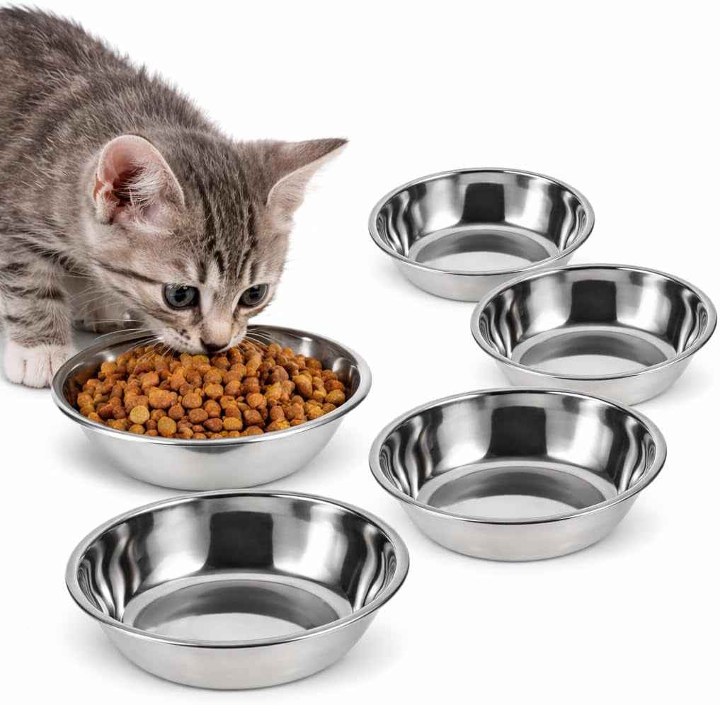 Lot De 5 Gamelles Pour Chat En Acier Inoxydable Bol De Nourriture Réutilisable Rond 5.51 in Récipient Alimentaire Pour Chaton Chiot Et Petit Animal Facile À Nettoyer