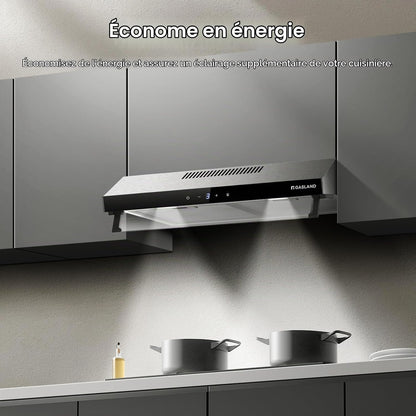Chef UC60SS Hotte Aspirante Design À Double Moteur 60Cm Hotte Aspirante Silencieuse 333 M³/H Touch Control Hotte Sous Plan Hotte Aspirante Acier Inoxydable Argenté Avec Filtre À Charbon Actif